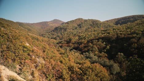 Ein-Herbstwald-In-Serbien