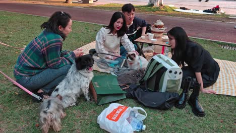Grupo-De-Amigos-Sentados-En-Una-Manta-En-El-Parque,-Haciendo-Un-Picnic-Junto-Con-Sus-Mascotas