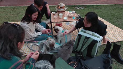 Familia-Asiática-Haciendo-Un-Picnic-En-El-Parque-Con-Mascotas-En-Guangzhou,-China