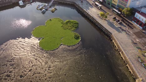 Aerial-flyover-Floating-ecosystem-in-polluted-river-at-Riachuelo-River-in-La-Boca-at-sunset-time---Sewage-and-wastewater