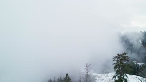 Scenic-cold-winter-landscape-nature-in-Sattelegg,-Switzerland