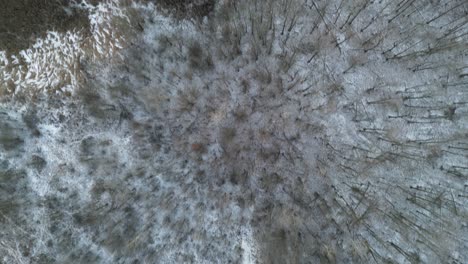 Ein-Blick-Von-Oben-Auf-Bäume-Und-Felder-Im-Winter-Mit-Leichtem-Schneefall