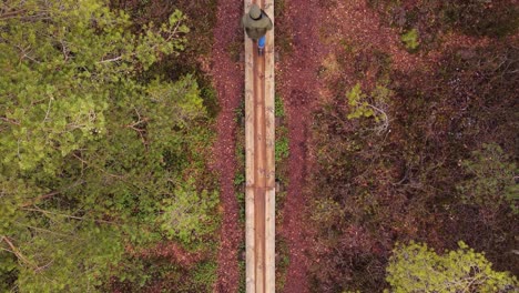 Aerial-top-down-view-of-a-man-walking-through-wooden-planks-inside-a-forest-at-day-time