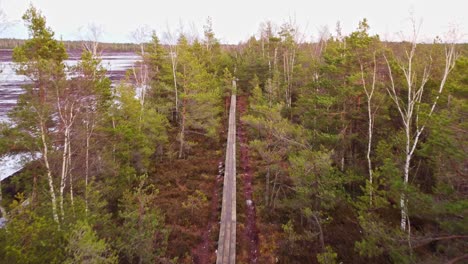 Person-walking-on-recreational-forest-pathway,-aerial-drone-view