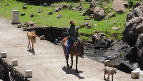 African-man-on-horse-leads-fuzzy-young-foal-across-bridge-in-Lesotho