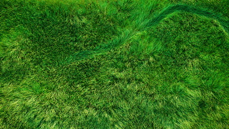 Animation-Topview-of-a-soccer-ball-thrown-onto-a-green-football-field,-3d-animated-blades-of-grass-subtle-waving-in-the-wind-and-air,,soccer-ball-running-from-left-to-right