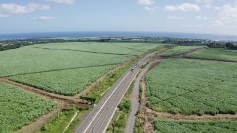Aerial-tracking-shot-of-metro-express-on-track-between-sugarcane-fields-in-Mauritius