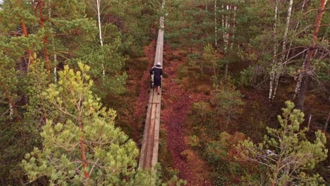 Woman-push-baby-stroller-on-narrow-wooden-forest-pathway,-aerial-view