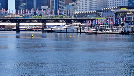 Editorial-illustrative-view-of-the-rental-pedal-boats-at-Darling-Harbour-in-Cockle-Bay,-Sydney,-near-the-National-Maritime-Museum