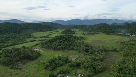 Rising-Aerial-View-of-Mountainous-Valley-of-rice-paddies-and-Agricultural-Farmland-in-the-scenic-island-of-Catanduanes,-Philippines
