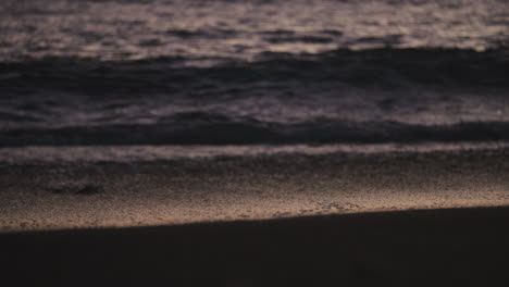Handheld-shot-of-waves-washing-over-beach-at-dusk,-shallow-DOF
