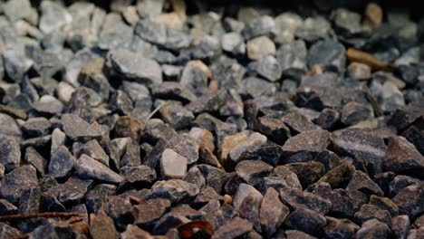close-up-from-the-side-of-a-gravel-road-with-some-maple-seeds-between-the-stones