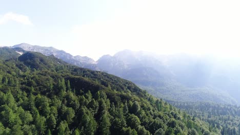 Mountain-Forest-Aerial-Drone-View-of-Julian-Slovenian-Alps-Triglav-National-Park-Unpolluted-Visionary-Natural-Concept,-Summer-Daylight