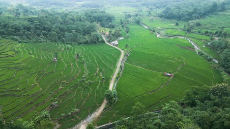 Aerial-shot-over-fields-in-Karawang,-Indonesia