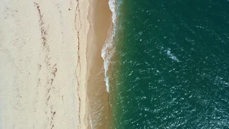 Vertical-birds-eye-top-aerial-drone-shot-of-the-tropical-Rio-Grande-do-Norte,-Brazil-coastline-with-golden-sand,-turquoise-clear-water,-and-small-calm-waves-in-between-Baia-Formosa-and-Barra-de-Cunha?