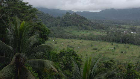 Antena-Delantera-De-Bosques-Verdes-Y-Campos-De-Arroz-En-Indonesia-Nublada