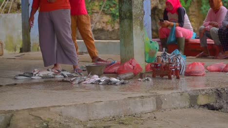 Fresh-fish-lined-up-on-cement-for-sale-at-auction-market-by-Asian-women,-Indonesia