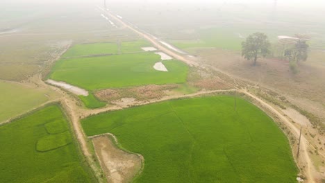 Aerial-view-flying-across-lush-green-rice-paddy-field-in-misty-rural-Indian-farming-countryside