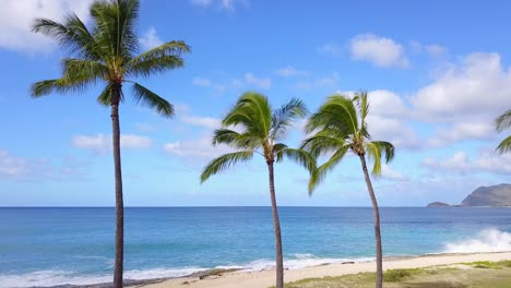 Tropical-palm-trees-and-crashing-waves-on-beach-rocks-reveal-beach-park-in-Hawaii