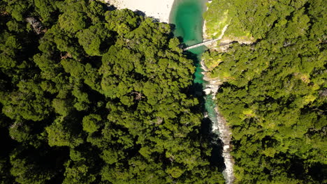 Dense-forest-and-deep-valley-with-mountain-river-in-New-Zealand,-aerial-top-down-view