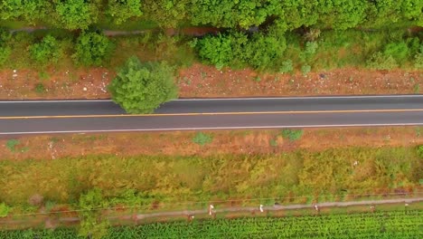 Countryside-road-surrounded-by-green-foliage,-aerial-top-down-view