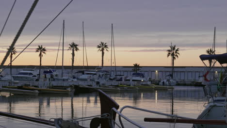 Statische-Ansicht-Angedockter-Segelboote-Am-Hafen-Mit-Palmen,-Bei-Sonnenuntergang-Grauer-Himmel
