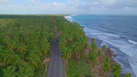 Coastal-road-between-palms-along-ocean,-Nagua-in-Dominican-Republic