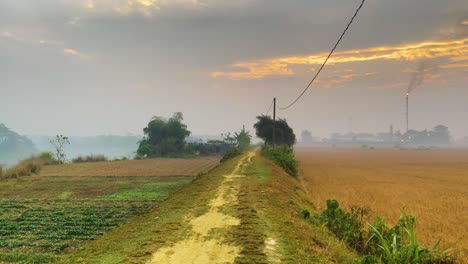 Beautiful-rural-scenery-during-sunset,-with-a-winding-path-through-farmland-and-a-village-in-the-background