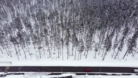 Stable-aerial-view-of-cars-passing-road-next-to-snowy-coniferous-forest