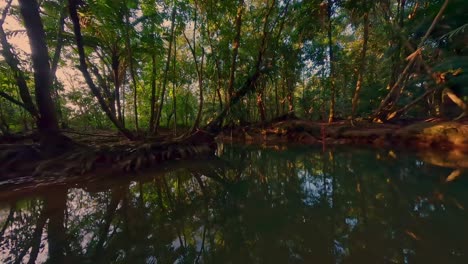 Slow-flight-over-idyllic-river-surrounded-by-jungle-with-diversity-of-plants-during-sunset