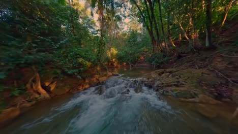 Jungle-Forest-Woods-And-Fresh-River-Stream-Of-Río-Comate,-Bayaguana,-Provincia-Monte-Plata-In-The-Dominican-Republic