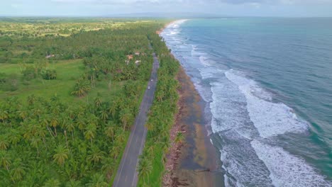 Road-between-palm-trees-along-ocean,-Nagua-in-Dominican-Republic