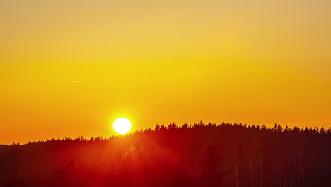 Vibrant-golden-sunset-descends-below-the-forest-horizon---time-lapse