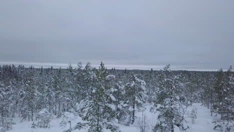 Magisches-Winterwunderland-Karelien,-Atemberaubende-Luftaufnahme-Des-Endlosen-Borealen-Taiga-Waldes