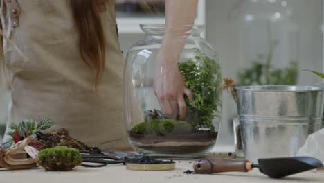 A-young-woman-creates-a-small-ecosystem-in-a-glass-terrarium-and-carefully-cares-about-the-plants---a-live-tiny-environment-concept-close-up