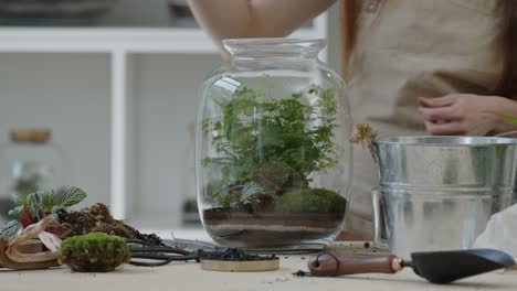 A-young-woman-creates-a-small-ecosystem-in-a-glass-terrarium-and-carefully-cleans-the-plants---a-forest-in-a-jar-concept-close-up
