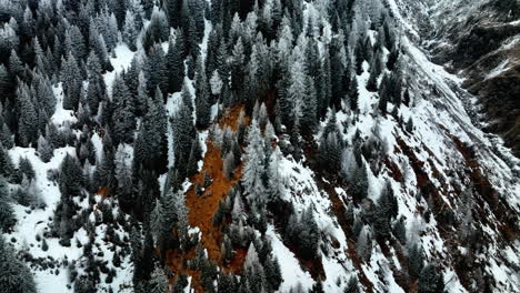 Snow-Covered-Forest-On-The-Mountains-Near-Bedretto-Village-In-The-Canton-of-Ticino,-Switzerland