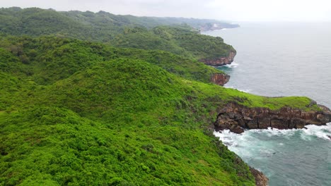 Drone-flying-over-lush-jungle-covering-tropical-coastal-cliffs-of-Bali,-Indonesia-on-cloudy-day