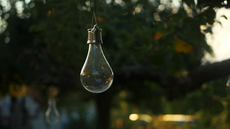 A-suspended-light-bulb-in-a-garden