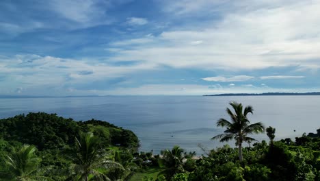 Eine-Atemberaubende-Luftaufnahme-über-Einer-üppigen-Baumwipfel-Mit-Palmen-Zeigt-Eine-Atemberaubende-Bucht-In-Catanduanes-In-Der-Nähe-Des-Ozeans