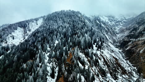 Snowy-mountain