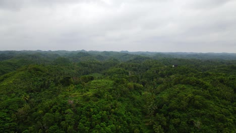 Drone-flyover-of-tropical-rain-forest-trees,-peaks-and-valleys,-establishing-shot,-Indonesia