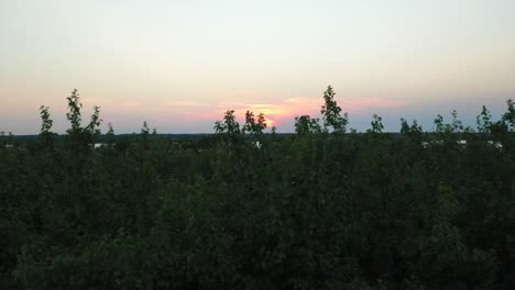 Schweben-Sie-über-Den-Bäumen-Am-Ufer-Des-Wunderschönen-Drohnenflugs-über-Den-Seneca-Lake-New-York-Bei-Sonnenuntergang