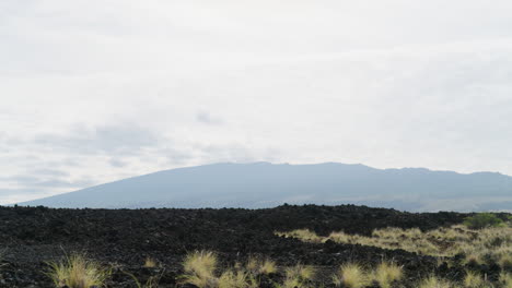 Arbusto-Verde-En-Campo-De-Lava-Volcánica-Negra-Con-Vista-A-La-Montaña-En-La-Distancia,-Hawaii-4k
