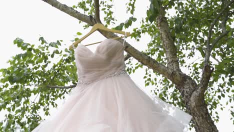A-wedding-dress-hands-in-a-tree-and-sways-in-the-wind