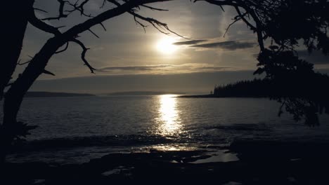 Maine-Sunset-Bay-Desde-Debajo-De-La-Rama-De-Un-árbol-60fps