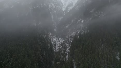 Drohne-Fliegt-über-Das-Waldgebiet-Der-Washington-Mountains,-Wobei-Der-Nebel-Den-Blick-Auf-Die-Grünen-Bäume-Verdeckt,-Ohne-Menschen