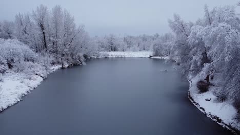 Mit-Eis-Bedeckter-Teich,-Umgeben-Von-Schneebedeckten-Bäumen,-Luftaufnahme