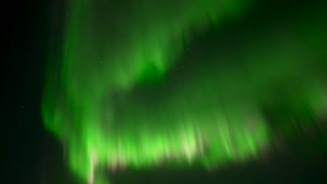 Lebhafte,-Sich-Schnell-Bewegende-Grüne-Und-Rosafarbene-Aurora-Borealis-Am-Abendhimmel