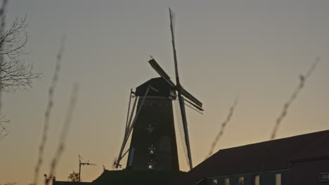 Focusrack-Vom-Schilf-Zur-Historischen-Windmühle-In-Einer-Wunderschönen-Landschaft-In-Den-Niederlanden---Nah